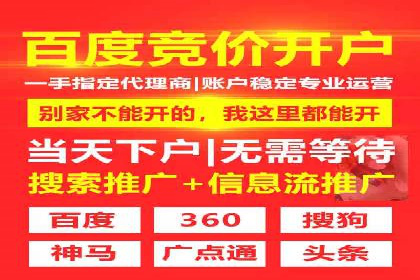 竞价广告投放技巧：如何提高转化率——案例分析