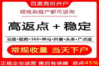 竞价排名策略案例：广告效果最大化技巧